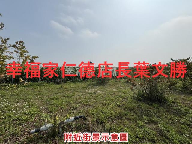 台南鹽水農地-6