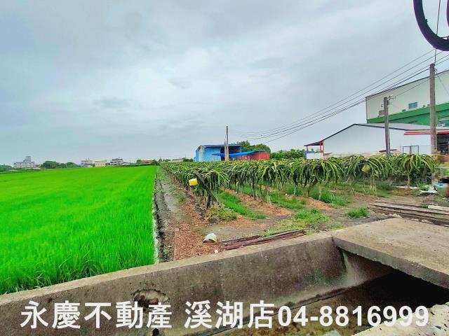二林農地-4