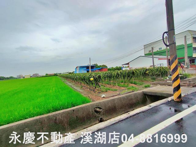二林農地-6