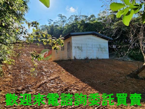 新北三芝農地-1