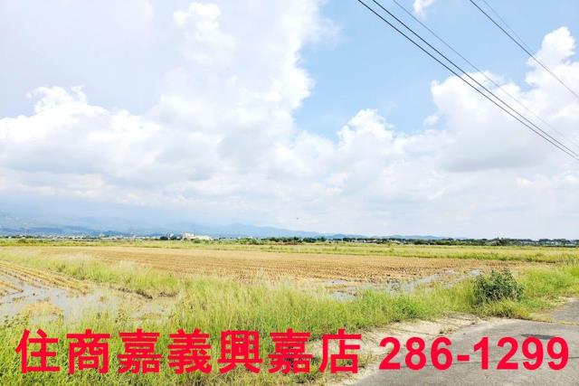 台南白河農地-1