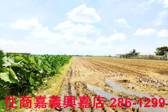 台南白河農地-4