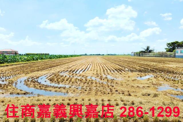 台南白河農地-6