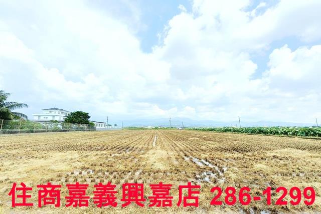 台南白河農地-7