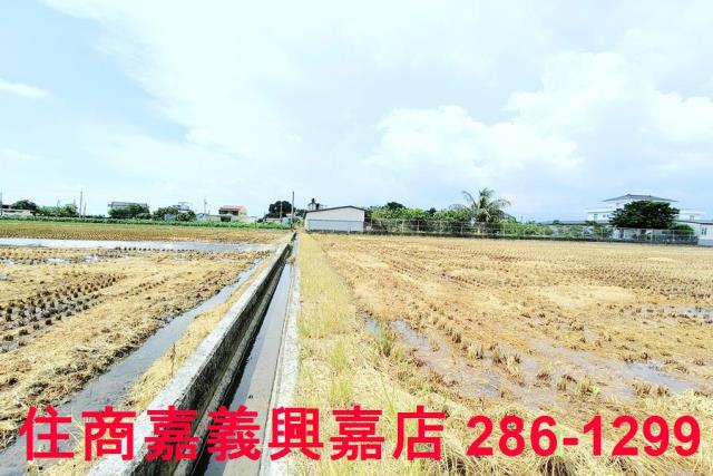 台南白河農地-9