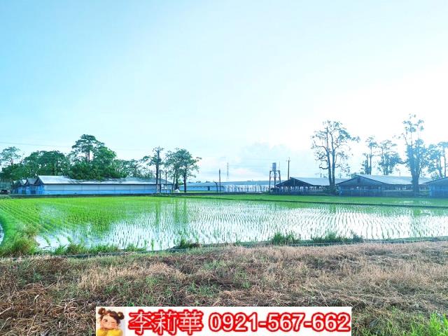 六甲農地-11