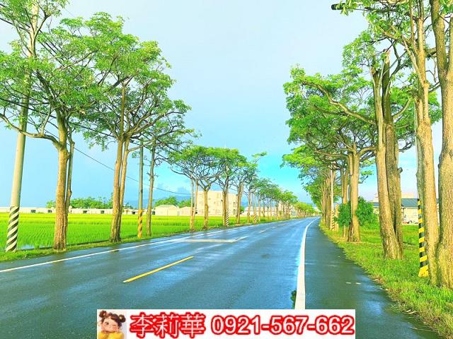 六甲農地-1
