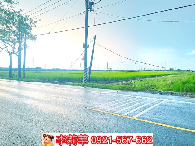 六甲農地-2