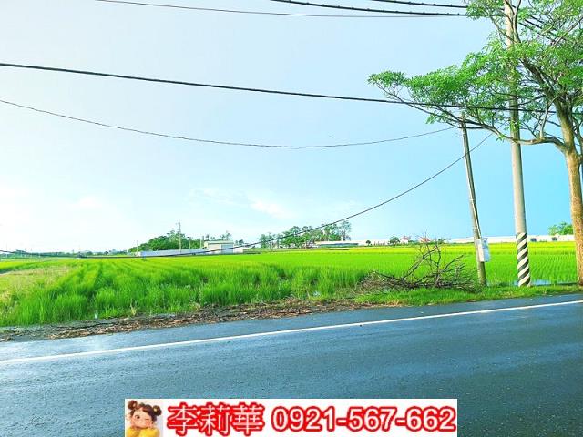 六甲農地-3