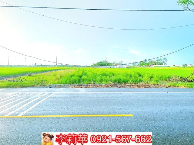 六甲農地-4