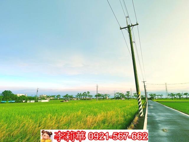 六甲農地-5