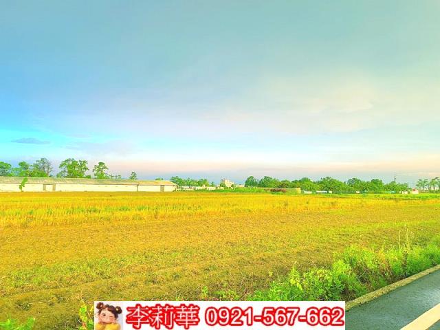六甲農地-7