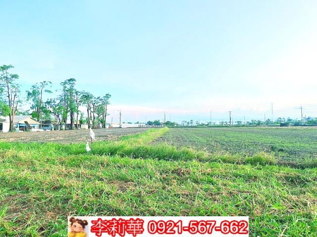 六甲農地-9