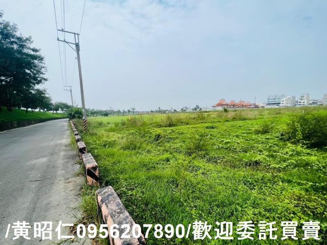 台南仁德農地-7