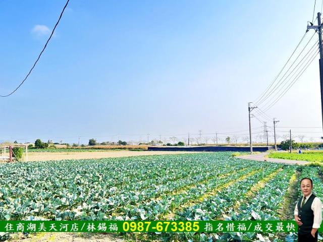 台南仁德農地-1
