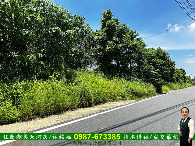 台南玉井農地-3