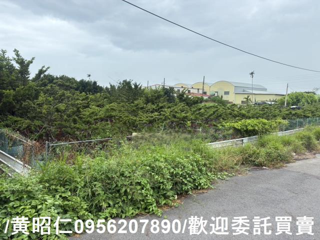 佳里農地-3