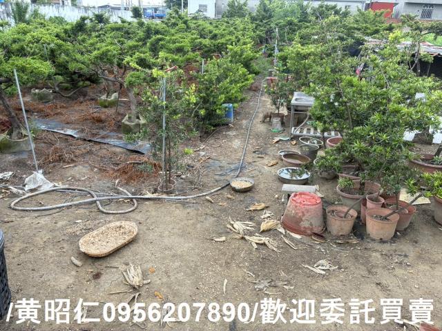 佳里農地-6