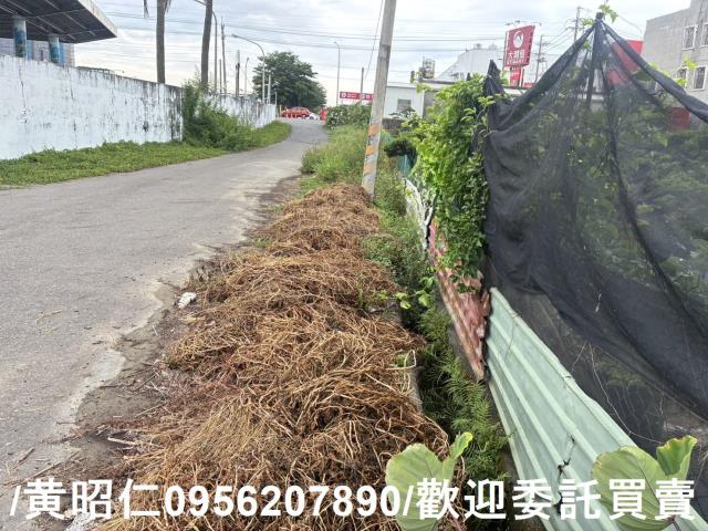 佳里農地-7
