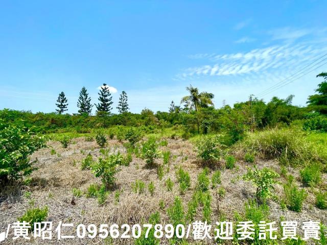 新化農地-4