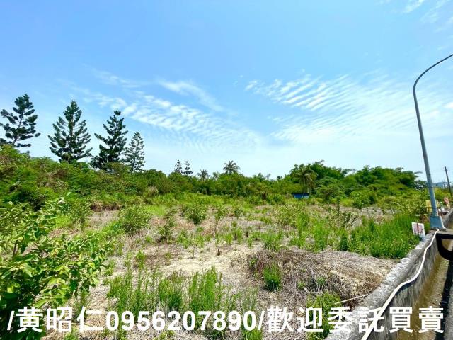 新化農地-6