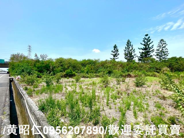 新化農地-7