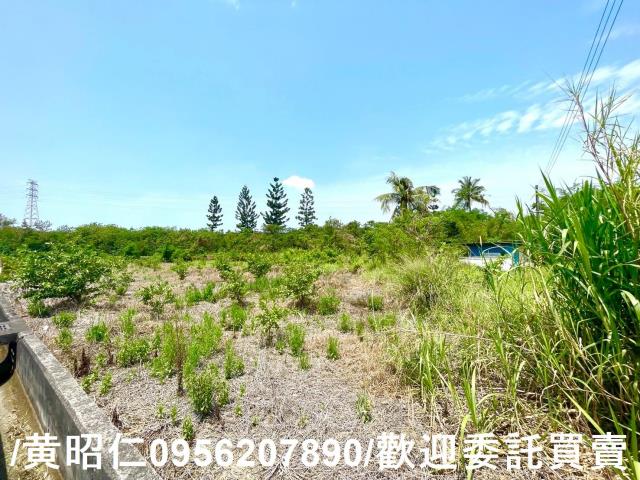 新化農地-8