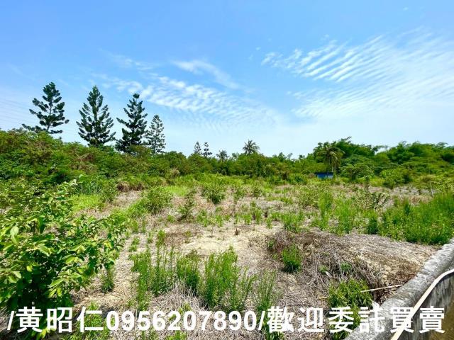 新化農地-9