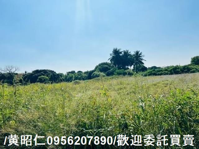 新化農地-12