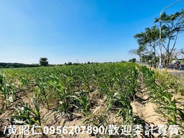 新化農地-8