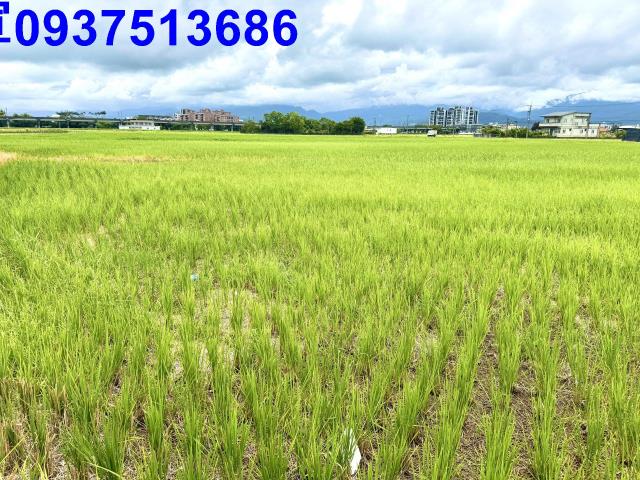 宜蘭市農地-4
