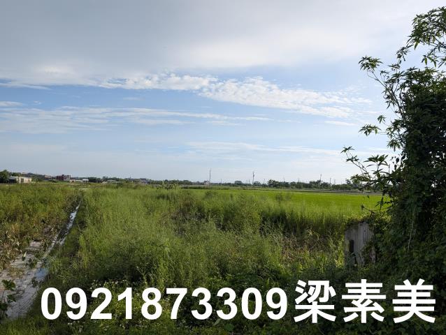 台南白河農地-10