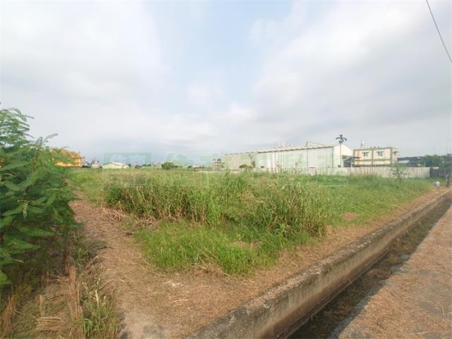 大寮農地-5