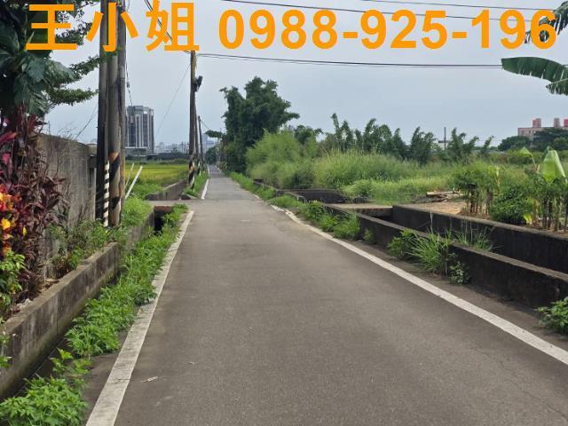 大園農地-1