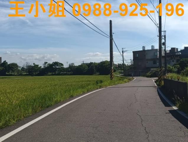 大園農地-2
