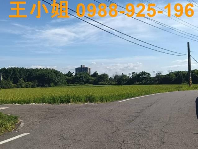 大園農地-3
