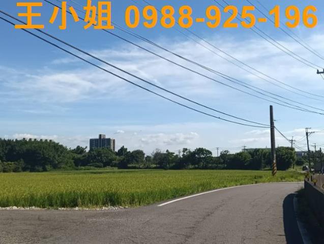 大園農地-4