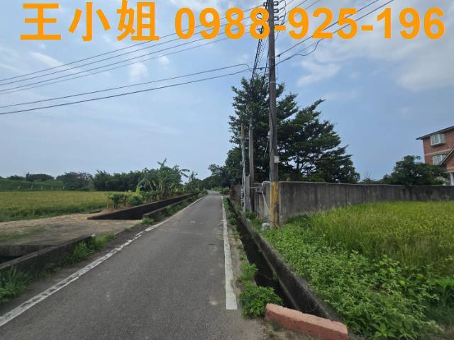 大園農地-5