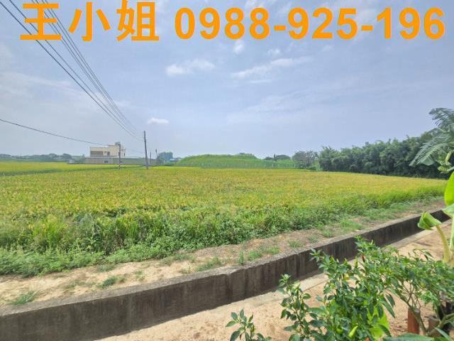 大園農地-6
