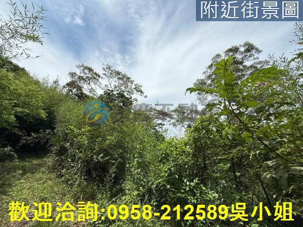 新埔山坡地-5