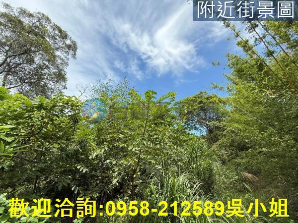 新埔山坡地-6