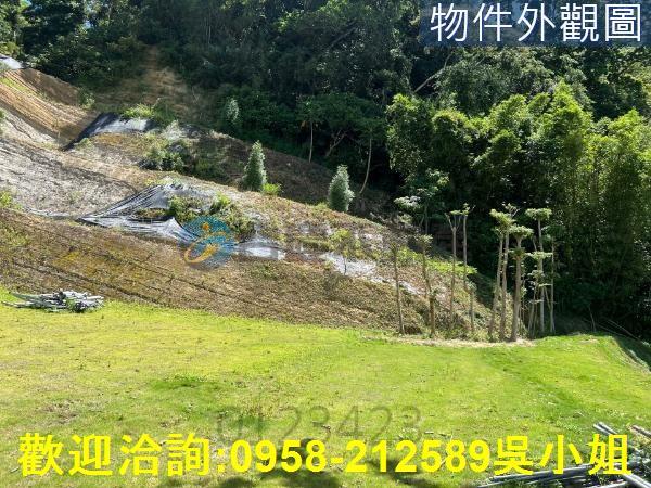 寶山山坡地-7