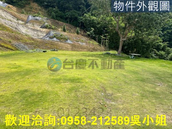 寶山山坡地-8