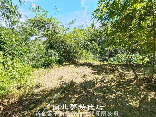 左鎮農地-10