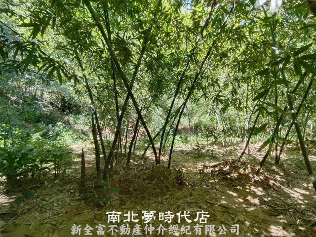 左鎮農地-12