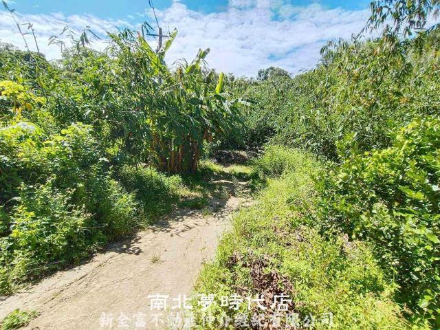 左鎮農地-13