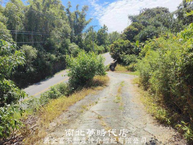 左鎮農地-14