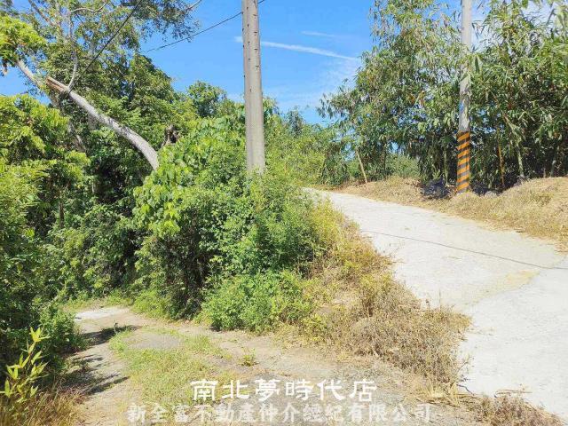 左鎮農地-15