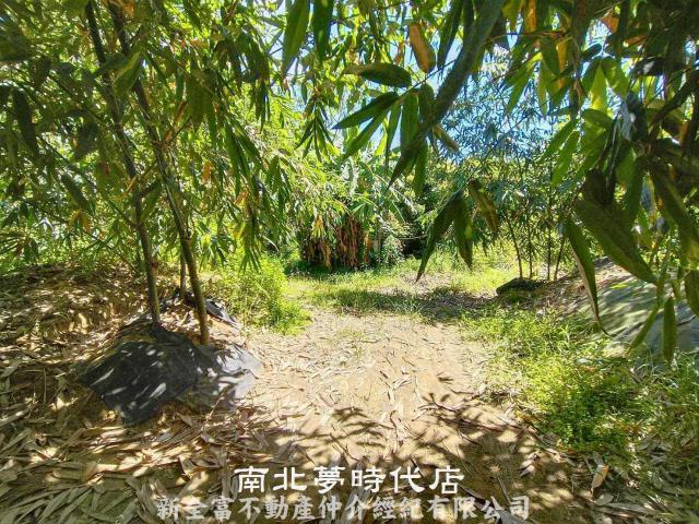 左鎮農地-2