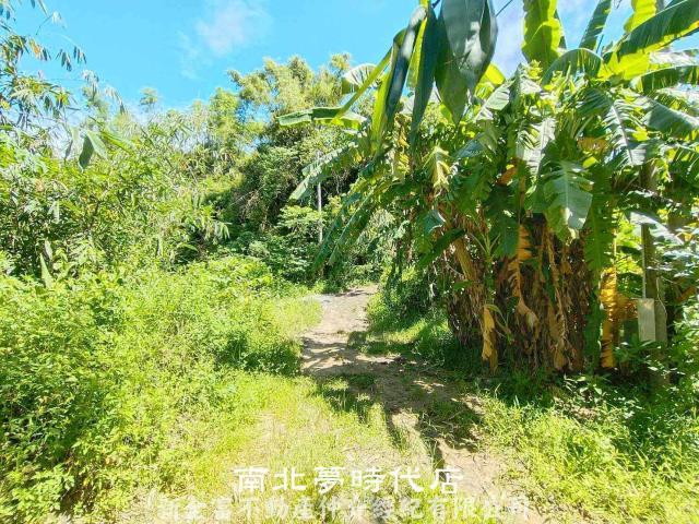 左鎮農地-3